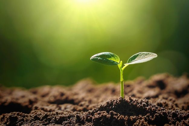 growing up spiritually
