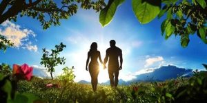 The Law of God in Redemptive History