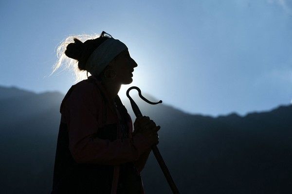 The Parents' Shepherd Role